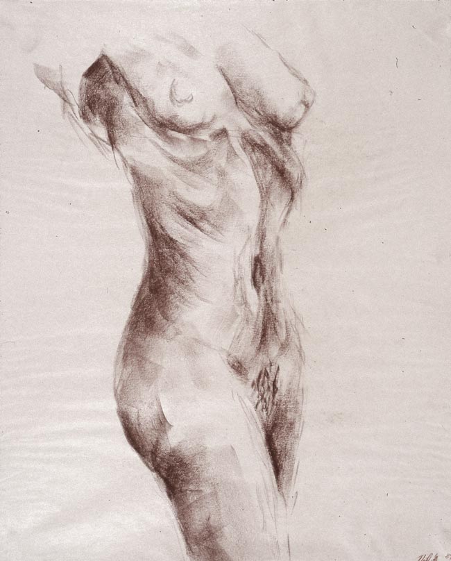 Figure Study 4 - Conté