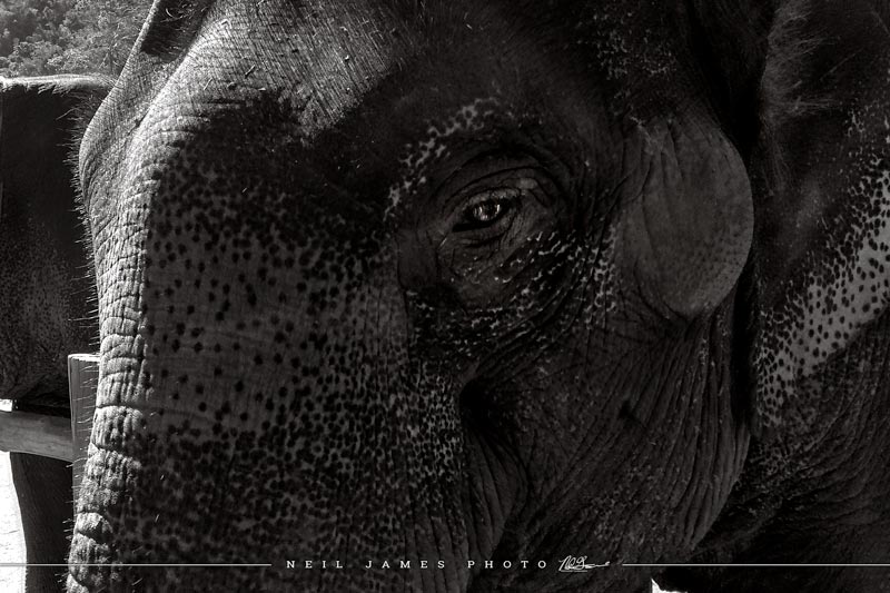 See Through to Your Soul