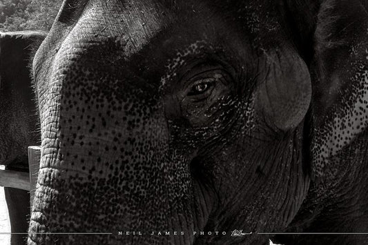 See Through to Your Soul