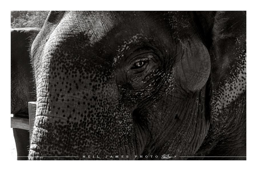 See Through to Your Soul