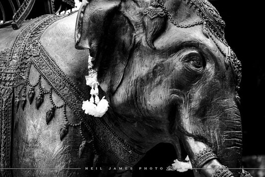 Thai Elephant Statue